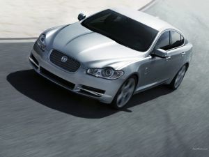 Jaguar 2008 XF 1.jpg
